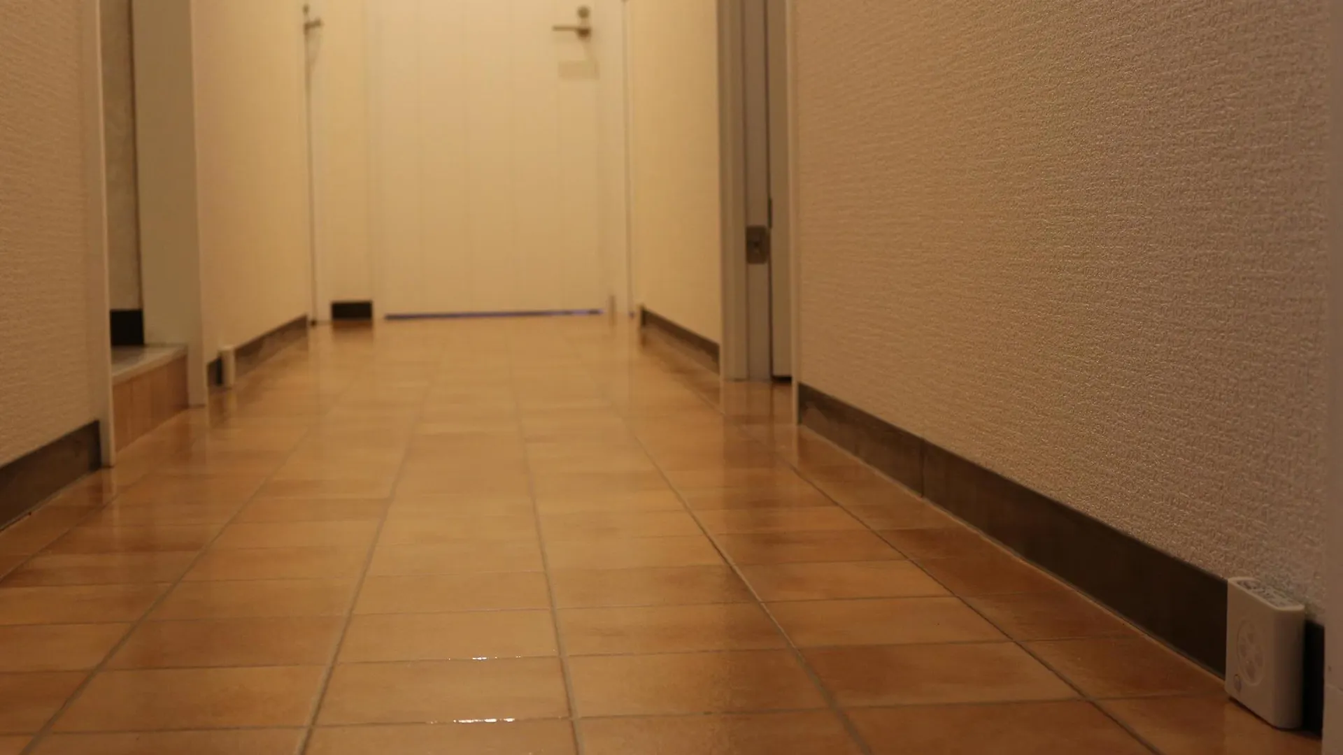 Tsubame Hotel Asakusabashi: Central Tokyo Base with Kitchen & Laundry Japan